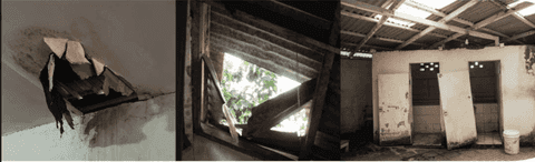 borneo_for_good_2_86f06898f2-2